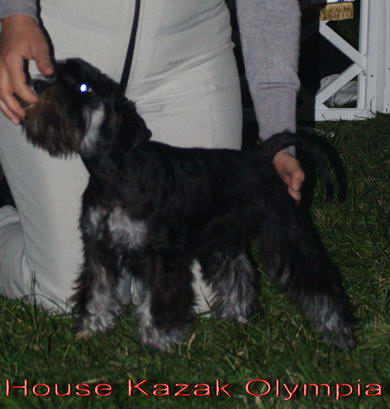 House Kazak