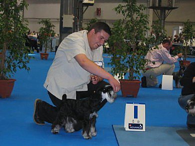 Express Man Rezlark Barcelona Euro dog Show