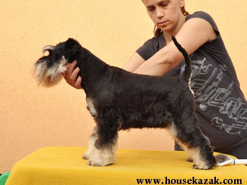 House Kazak