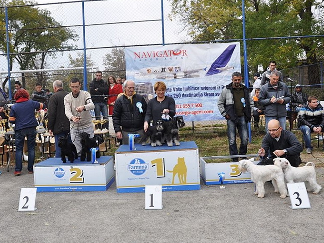 patuljasti &scaron;naucer